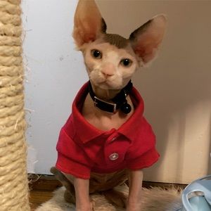 Cute Pet Shirt XS